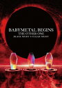 【送料無料】BABYMETAL BEGINS -THE OTHER ONE-(通常盤)【DVD】/BABYMETAL[DVD]【返品種別A】