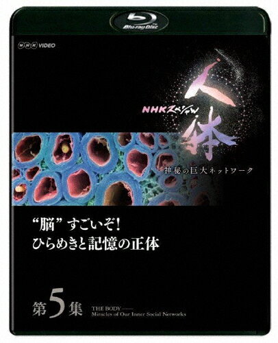 【送料無料】NHKスペシャル 人体 神秘の巨大ネットワーク 第5集 “脳 すごいぞ ひらめきと記憶の正体/ドキュメント Blu-ray 【返品種別A】