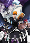 【送料無料】 枚数限定 限定版 劇場版BLEACH The DiamondDust Rebellion もう一つの氷輪丸(完全生産限定版)/アニメーション DVD 【返品種別A】