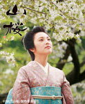 [枚数限定][限定版]山桜(初回限定版)/田中麗奈[DVD]