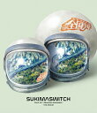 【送料無料】スキマスイッチ TOUR '05“全国少年