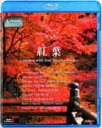 【ポイント3倍★30日am9:59迄】紅葉～autumn with your favorite music～V-music/BGV[Blu-ray]