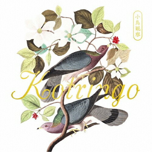 【送料無料】小鳥観察 Kotringo Best/コトリンゴ[CD]【返品種別A】