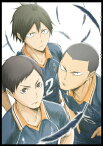 【送料無料】ハイキュー!! 烏野高校 VS 白鳥沢学園高校 Vol.4 DVD/アニメーション[DVD]【返品種別A】