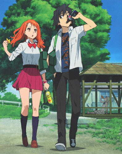 【送料無料】[枚数限定][限定版]あの日見た花の名前を僕達はまだ知らない。 4(完全生産限定版)/アニメーション[DVD]【返品種別A】