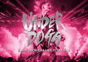 【送料無料】EXILE SHOKICHI LIVE TOUR 2019 UNDERDOGG【通常盤/DVD】/EXILE SHOKICHI DVD 【返品種別A】