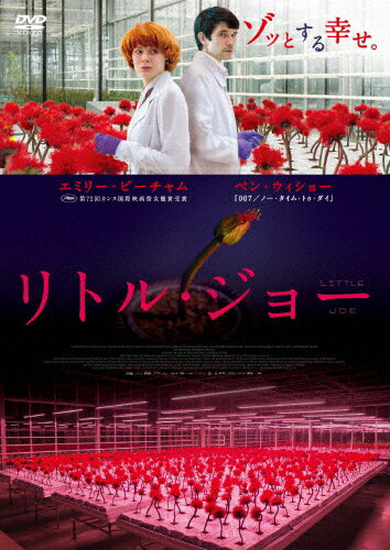 【送料無料】リトル・ジョー/エミリー・ビーチャム[DVD]【返品種別A】