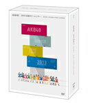 【送料無料】AKB48 2013 真夏のドームツアー〜まだまだ、やらなきゃいけないことがある〜【スペシャルBOX 10枚組DVD】/AKB48[DVD]【返品種別A】