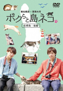 【送料無料】「ボクらと島ネコ。in 佐柳島 後編」椎名鯛造×深澤大河/バラエティ[DVD]【返品種別A】