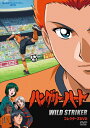 【送料無料】想い出のアニメライブラリー 第97集 ハングリーハート 〜WILD STRIKER〜 コレクターズDVD<デジタルリマスター版>/アニメーション[D...
