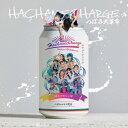 HACHAMECHARGE(Type-B)/つぼみ大革命[CD]【返品種別A