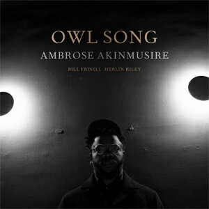 【送料無料】OWL SONG【アナログ盤】【輸入盤】▼/アンブローズ・アキンムシーレ[ETC]【返品種別A】