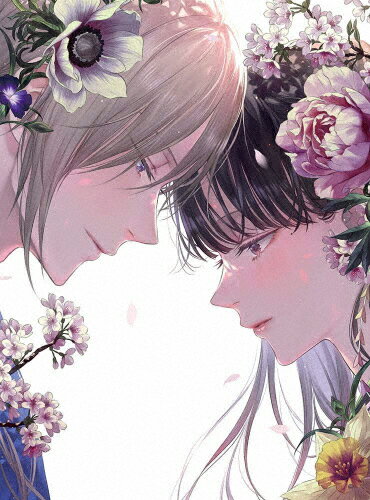 ̵ۤ錄ιʷ뺧  3DVD/˥᡼[DVD]ʼA