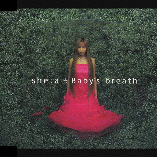 Baby's breath/shela[CD]ʼA