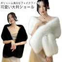 ショール 大判 レディース マフラー ふわふわ 上品 差し込み ストール エコファー あったか 暖かい 防寒 フェイクファー おしゃれ ストール 寒さ対策 きれいめ 大人 ギフト プレゼント 秋