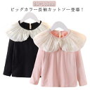ブラウス トップス 長袖 女の子 キッズ 襟付き 長袖トップス 普段着 ビッグカラー Tシャツ ビッグカラー かわいい 可愛い おしゃれ オシャレ 大きな襟 ガーリー ガールズ 80cm 90cm 100cm 110cm