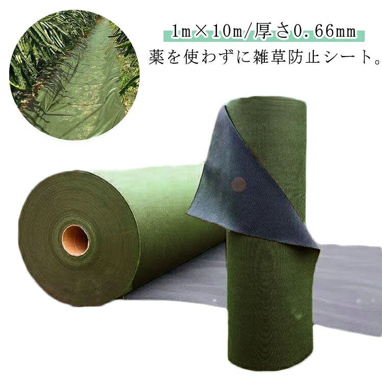 楽天市場】(ザバーン）1mx10mの通販