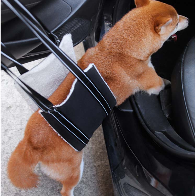 小型犬 介護ハーネス 介護 簡単着脱 送料無料 老犬 歩行補助もこもこ 補助 中型犬 後ろ足 シニア犬 ハーネス 立ち上がり 怪我 術後 リハビリ 犬 サポーター 介護用品 調整可能 S M L josho-shop5-10000143 JOSHOショップ サンプル画像3