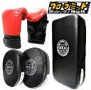 大人用 トレーニング グローブ ミット 4点 セット 総合格闘技 オープンフィンガー パンチンググローブ ハーフフィンガー グローブ 空手