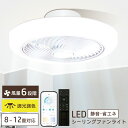 シーリングファンライト LED 調光調色 薄型 静音 軽量 DCモーター ライト 天井照明 ファン付き 引っ掛け 8畳 10畳 12畳 シーリングファン ダイニ...