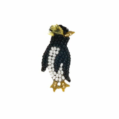 waiting Rock hopper
