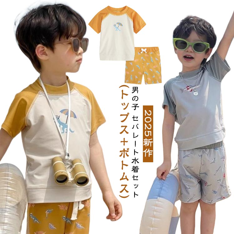 乐天商城 - セパレート水着 上下セット キッズ 水着 半袖 男の子 スイムウェア サメ柄 プール おしゃれ キッズ スイミング ビーチ 恐竜柄 水遊び 海水浴 練習用 小学生 保育園 幼稚園 子供用