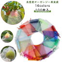 果物袋 ネット りんご袋 果実袋 キウイ袋 100枚入 果物袋 メッシュ 防虫 鳥よけ 通気性 イチゴ カラス対策 果物保護バッグ 巾着袋 家庭菜園 果樹園 収穫 農業資材