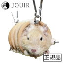 くるくるトンネル SS