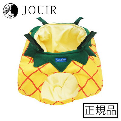 フルーツハウス パイナップル