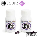ブルーベリー&ルテイン 60粒 犬用健康補助食品 2個セット