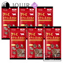 【土日祝も営業 まとめ買いがお得】フリーズドライの牛モモ肉 猫用 17g 6個セット
