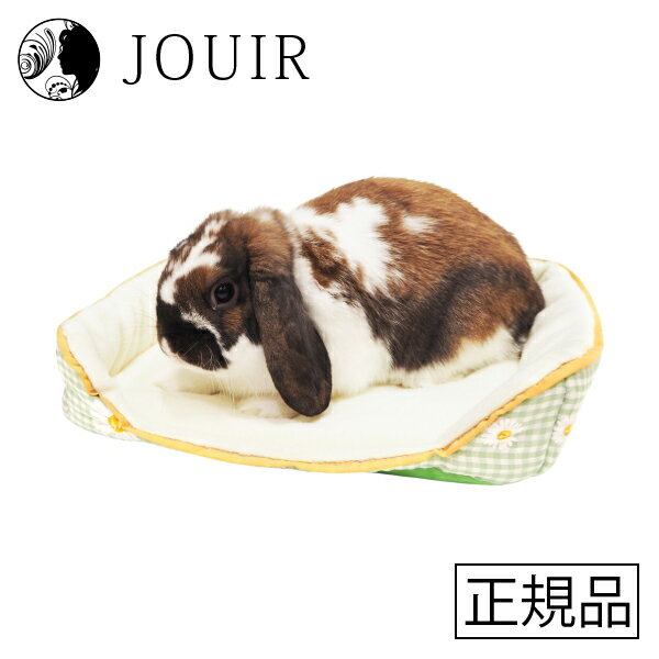 【土日祝も営業 まとめ買いがお得】うさちゃんのびのびベッド グリーン