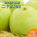 二十世紀梨 20世紀梨 鳥取県 東郷 赤秀 2kg 3L(6玉) 送料...(4)
