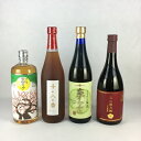 梅酒セット 送料無料 九州の焼酎蔵元が造る 梅酒 飲み比べ 4本セット