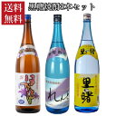 焼酎セット 送料無料 黒糖焼酎 飲み比べ 1.8L瓶 3本セット