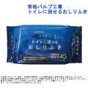 流せる 大判厚手 ノンアルコール 常裕パルプ工業 トイレに流せるおしりふき