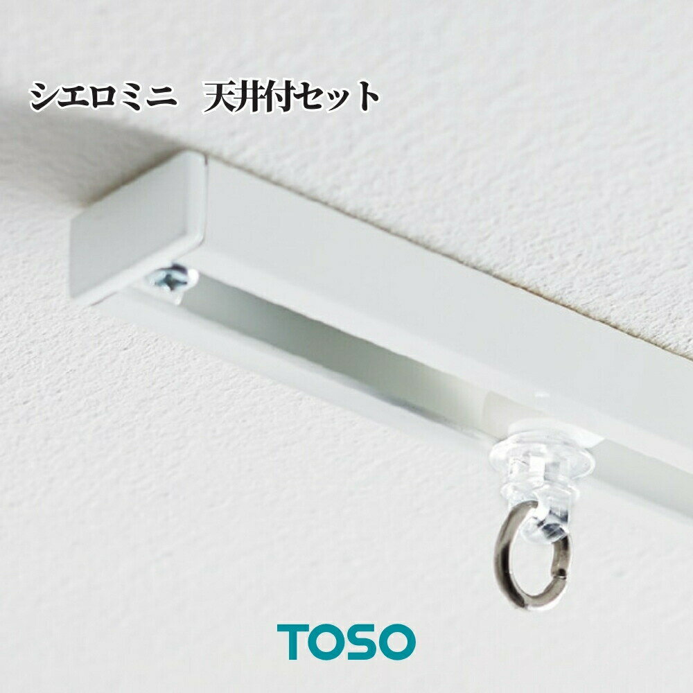 カーテンレール コンパクト 小窓 おしゃれ 内装 DIY 取り付け TOSO シエロミニ 天井付セット サイズ1m 全2色
