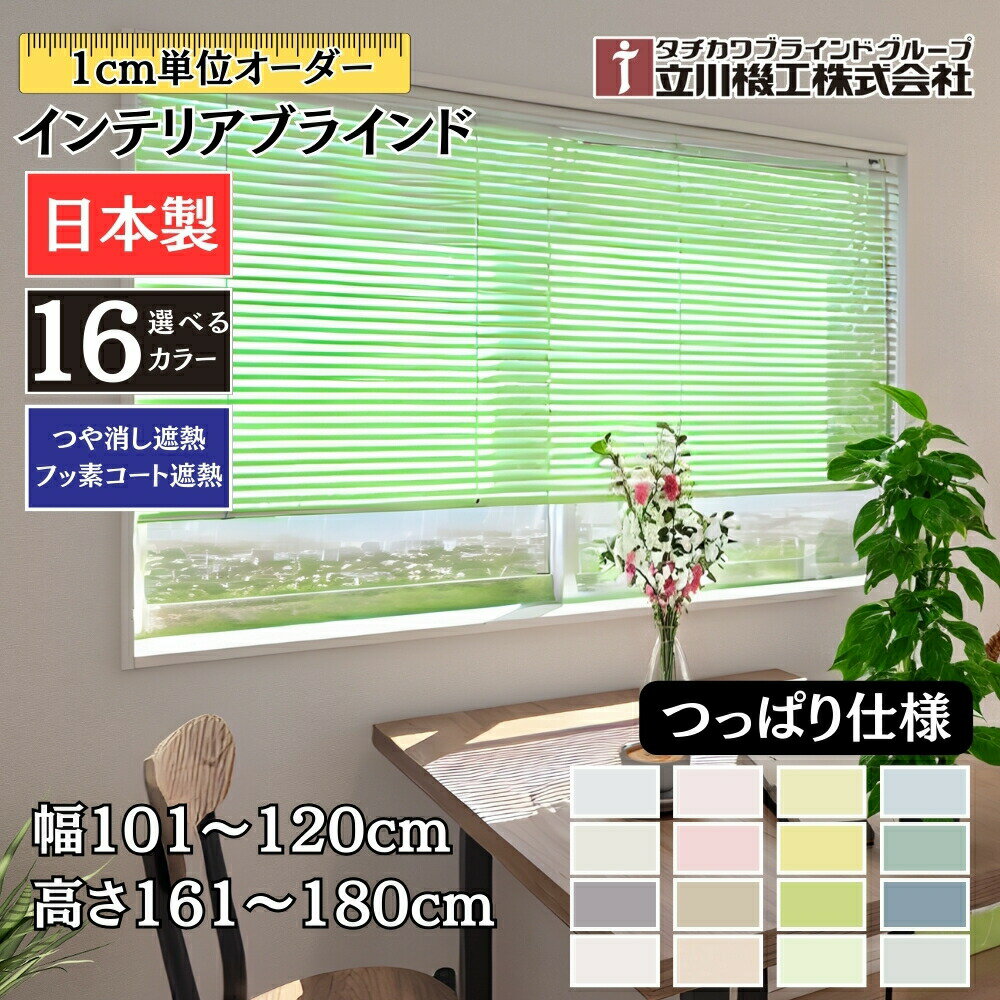 ƥꥢ֥饤 ĤäѤ 101120cm߹⤵161180cm  1cmñ Ω ĤäǮ եǥȼǮ ֥饤ɥ...