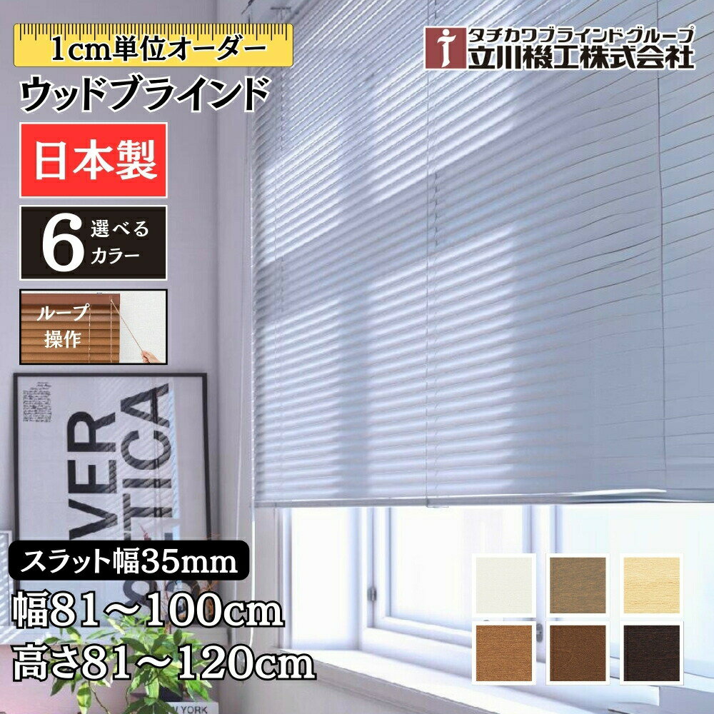 åɥ֥饤35 롼 81100cm߹⤵81120cm  1cmñ Ω ֻ    ...
