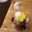 お供え 花 初盆 プリザーブドフラワー ブリザード アレンジメント お悔み 法事 命日 仏花 お供え物 一周忌 三回忌 七回忌 月命日 お供え花 お供え物 ペッ...