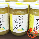 ★ニューサマーオレンジジャム（180g）ニューサマーオレンジ　糖度35％　東伊豆産　伊豆土産　柑橘系