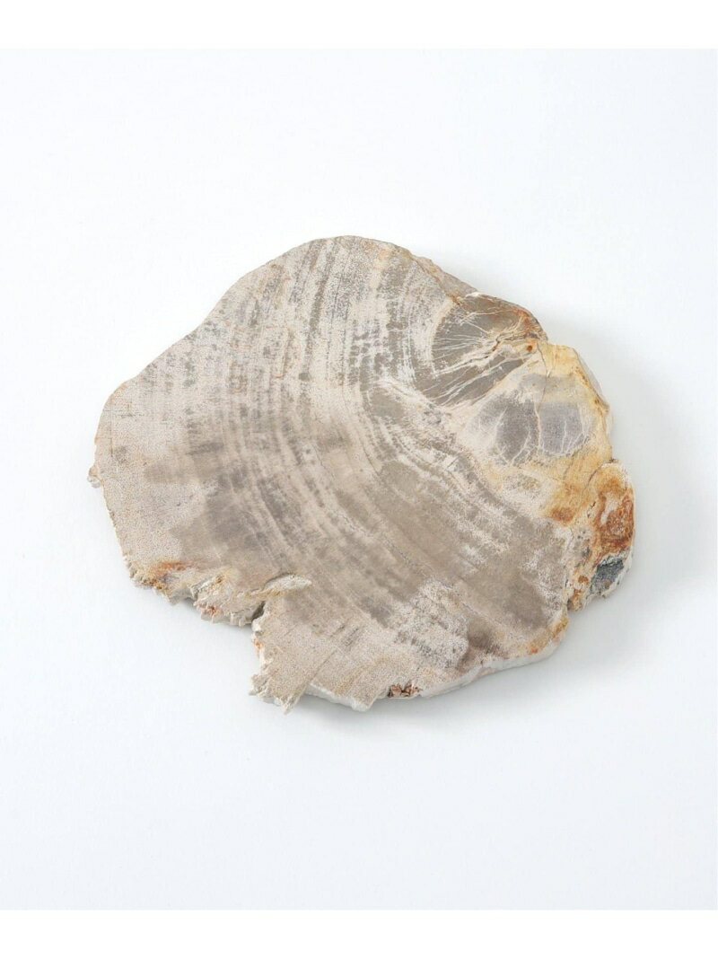 PETRIFIED WOOD PLATE ウッドプレートS JOURNAL STANDARD FURNITURE ジャーナルスタンダードファニチャー フレグランス その他のフレグランス Rakuten Fashion