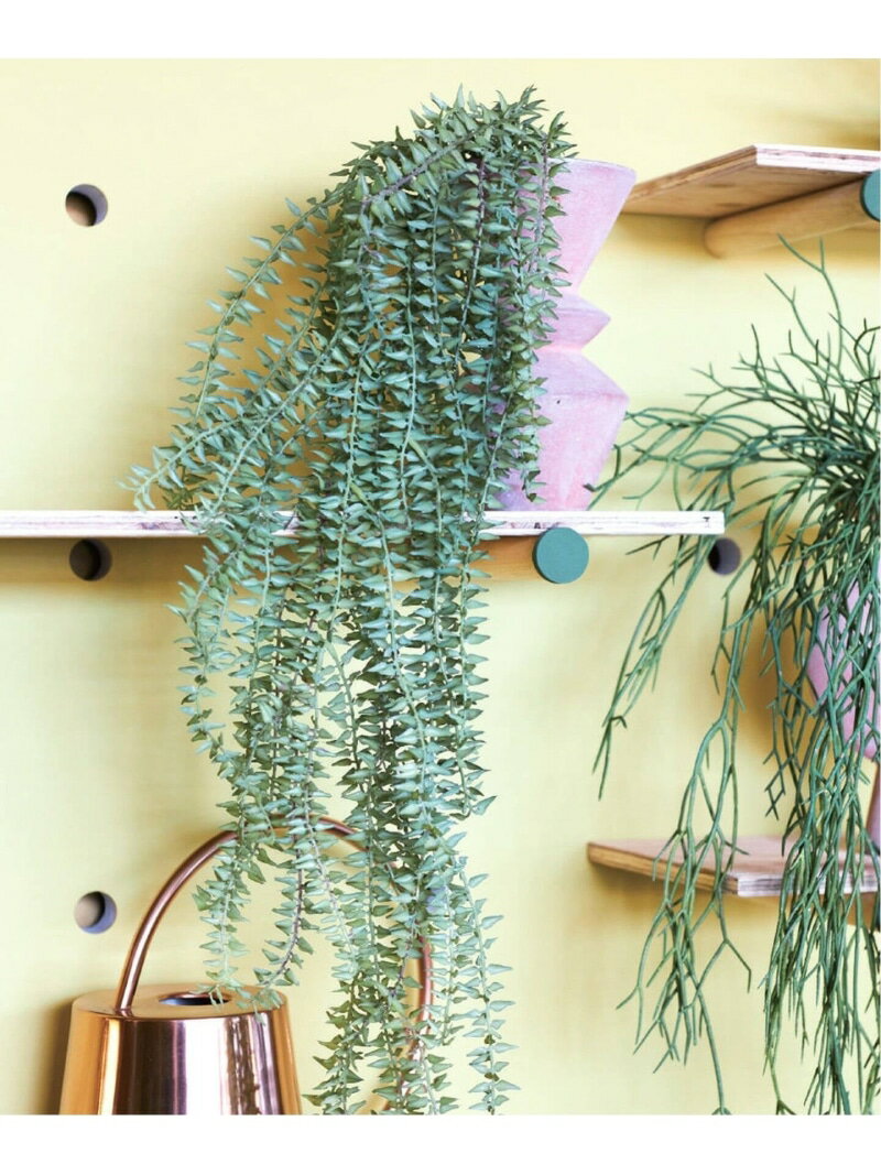 【Brown./ブラウン】タッセルシダ グリーン JOURNAL STANDARD FURNITURE ジャーナルスタンダードファニ..