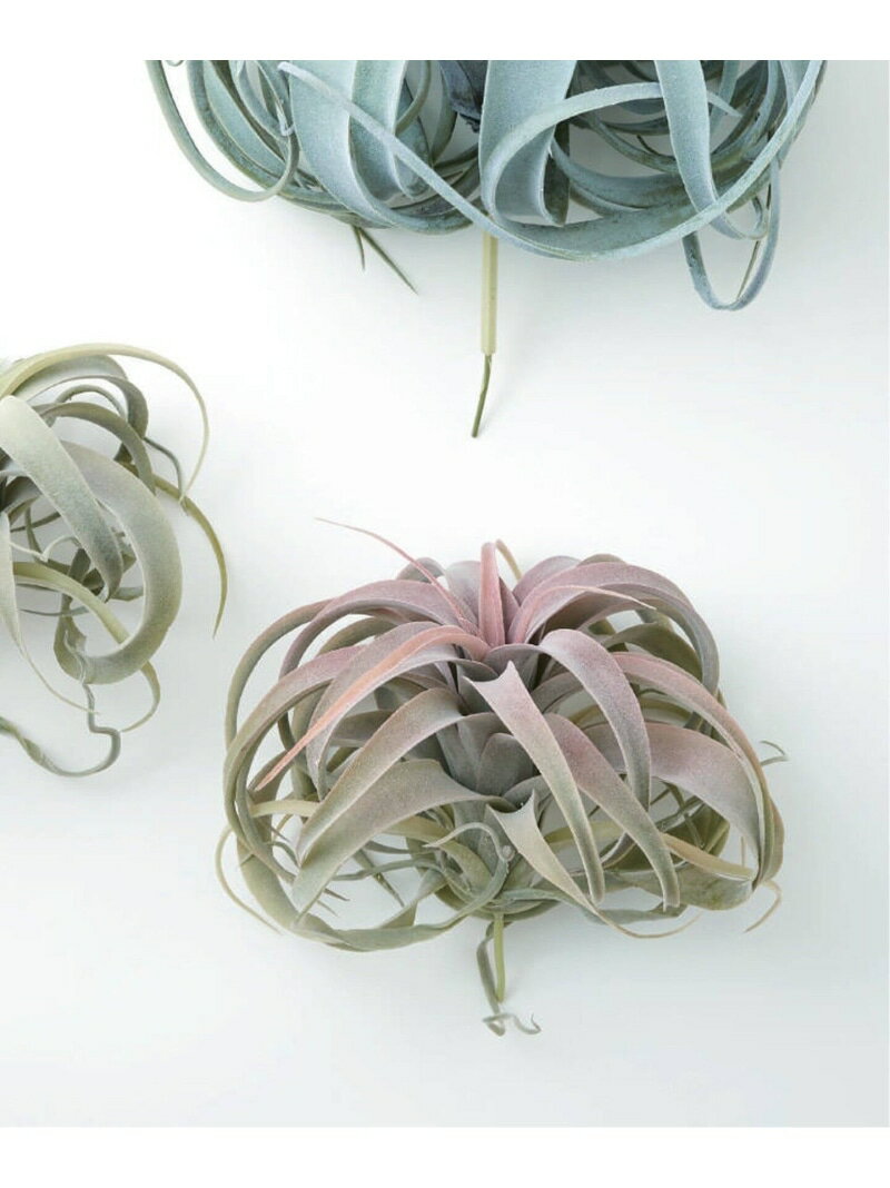 【Brown./ブラウン】キセログラフィカ ピック レッド フェイクグリーン JOURNAL STANDARD FURNITURE ジ..