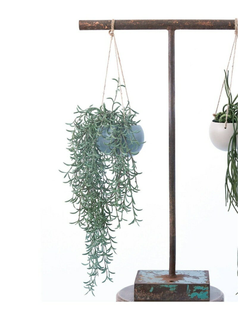 【Brown./ブラウン】ホヤ ハンギングポット フェイクグリーン JOURNAL STANDARD FURNITURE ジャーナル..