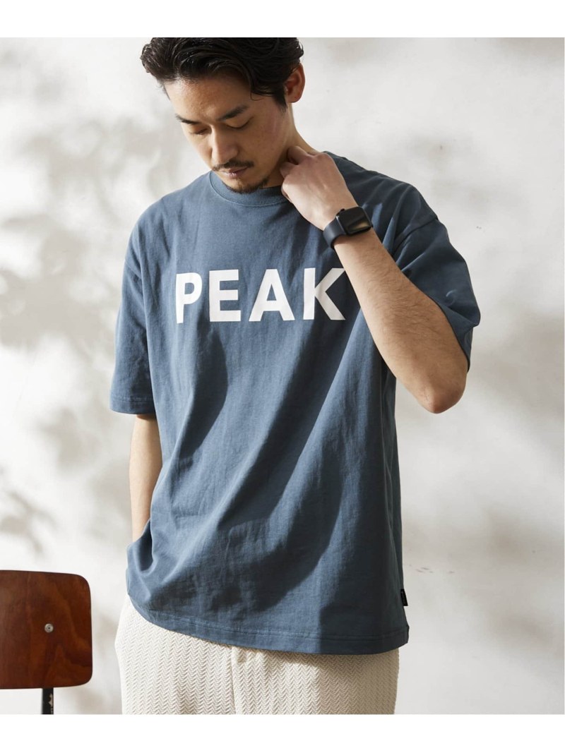 【SNOW PEAK / スノーピーク】別注 SP Logo Tシャツ JOURNAL STANDARD relume ジャーナル スタンダード レリューム トップス カットソー・Tシャツ ブラック ホワイト ピンク イエロー【送料無料】[Rakuten Fashion]