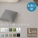 【300円OFFクーポンあり】カーペット ラグ 洗える 200*250 2畳半用 シンプル 洗えるラグ ふかふか こどもに優しい じゅうたん 春夏秋冬 オールシ...