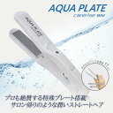 ケアライズ AQUA PLATE MINI ヘアアイロン SI-50 海外対応 持ち運びOK 旅行 ストレート 美容家電 美容師 スタイリング ヘアサロン 誕生日 プレゼント