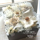 楽天JOUR ROSE flowers and more母の日　プリザーブドフラワー「brise ブリゼ」　ドライフラワー　ボタニカルボックス　ボックスフラワー　記念日　お祝い　結婚祝い　誕生祝い　ギフト　インテリア　新築祝い　ナチュラル　アンティーク　シャビー　フレンチ　祝電　母の日