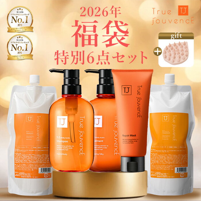 残り数点!【P5倍】23,095円→18,999円 福袋 豪華6点セット スカルプブラシ付 シャンプー トリートメント セット 弱酸性 ノンシリコン ボリューム...